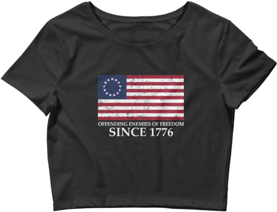 Patriotic Crop Topwith Flag Design