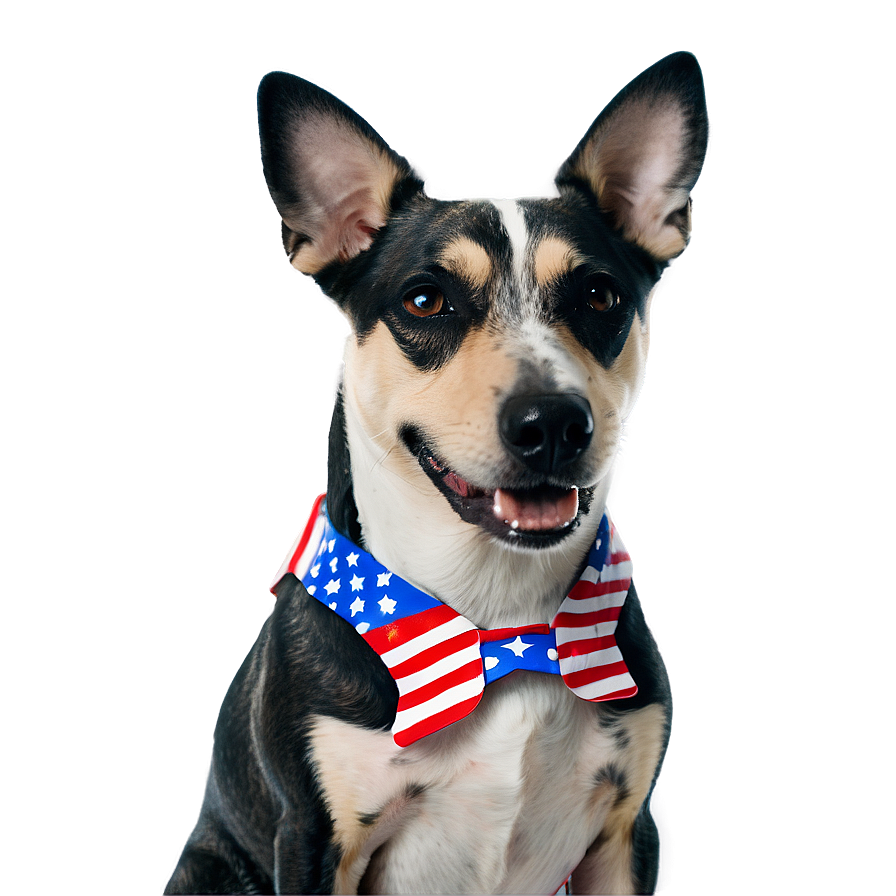 Patriotic Dog Costume On 4th Of July Png Mfs