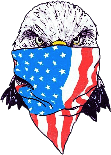 Patriotic Eagle Wearing American Flag Bandana