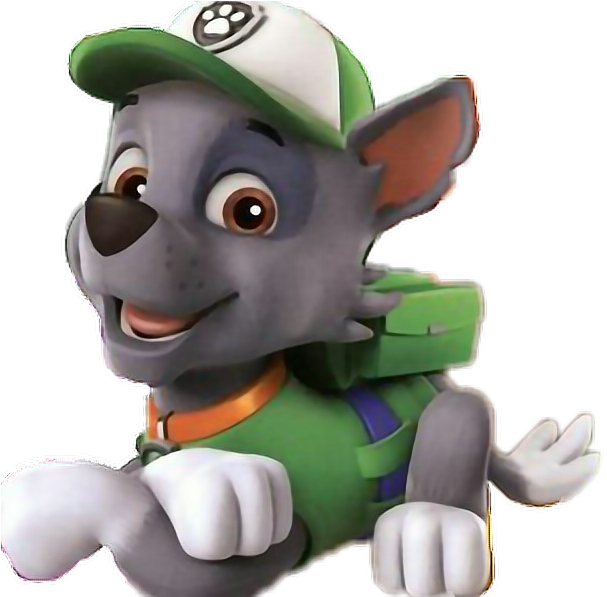 Paw Patrol Rocky Character Image