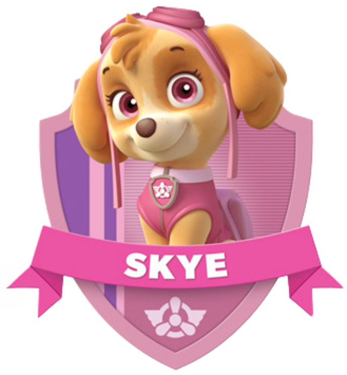 Paw Patrol Skye Character Badge