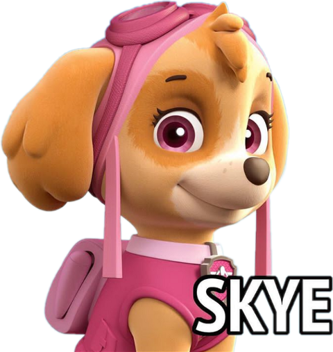 Paw Patrol Skye Portrait