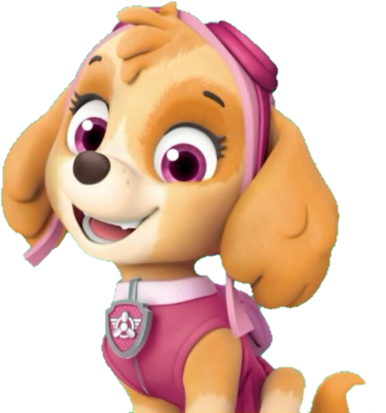 Paw Patrol Skye Portrait