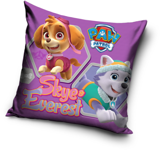 Paw Patrol Skyeand Everest Cushion