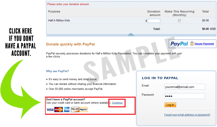 Pay Pal Donation Checkout Screen Sample