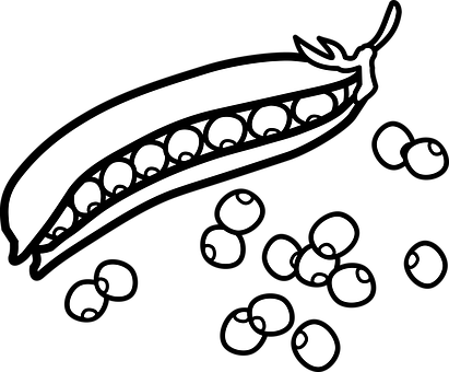 Pea Pod Silhouette Graphic