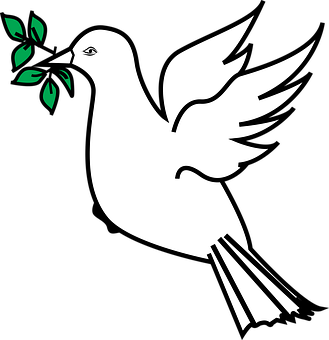 Peace Dove Vector Illustration PNG with transparent background