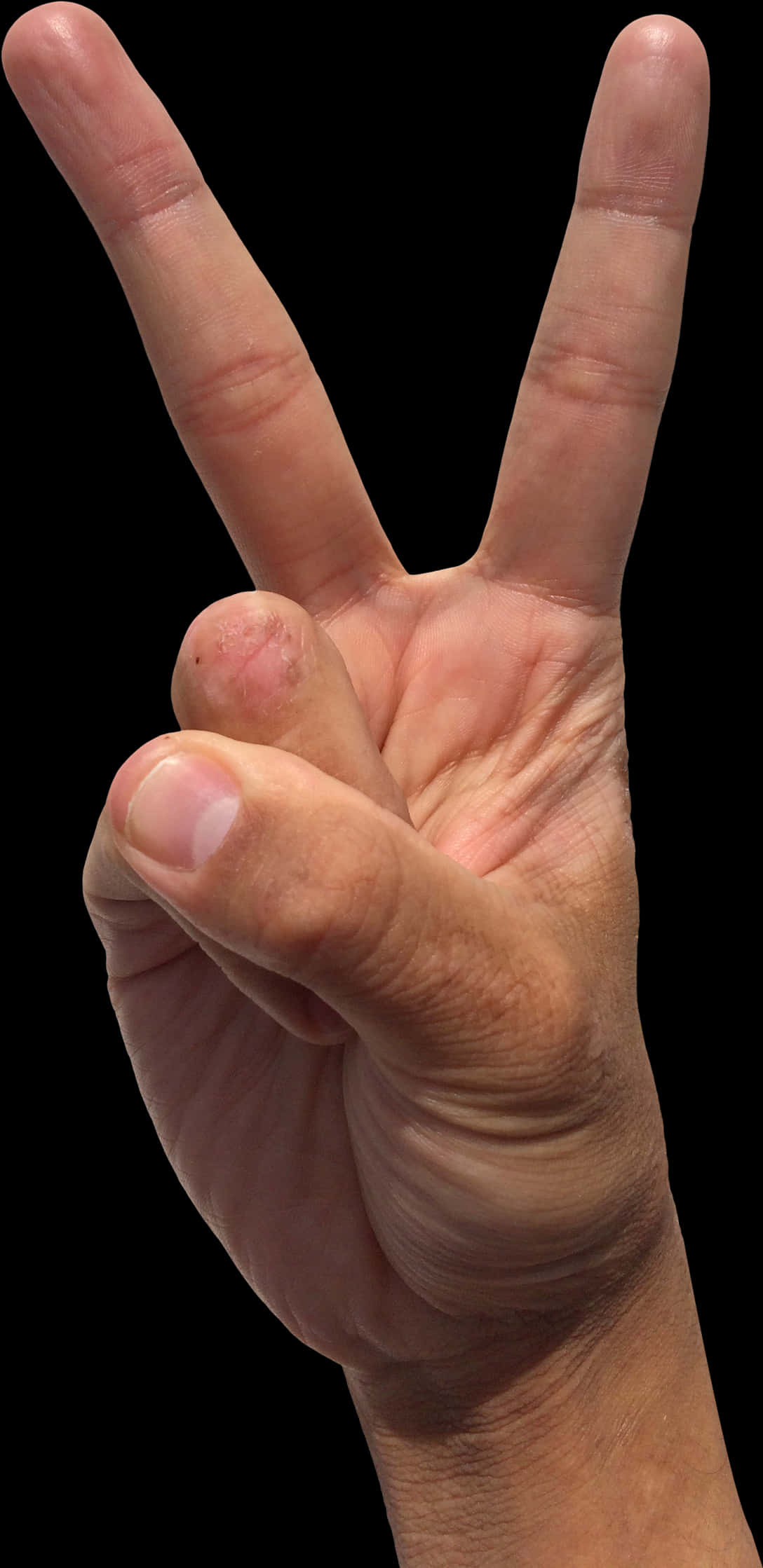 Peace Sign Hand Gesture PNG image with a transparent background, free high-resolution download