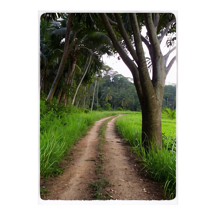 Peaceful Countryside Trail PNG 7 PNG with transparent background