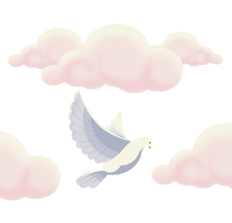 Peaceful Pigeon Among Clouds PNG with transparent background