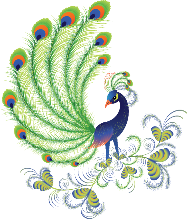 Peacock Clipart Adorable - Beautiful Designs Of Peacock, HD Png Download PNG with transparent background