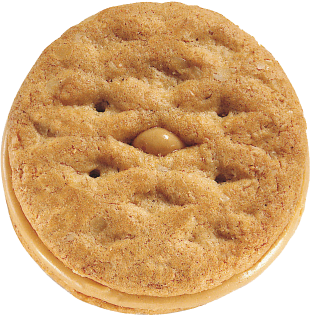 Peanut Butter Cookie Top View