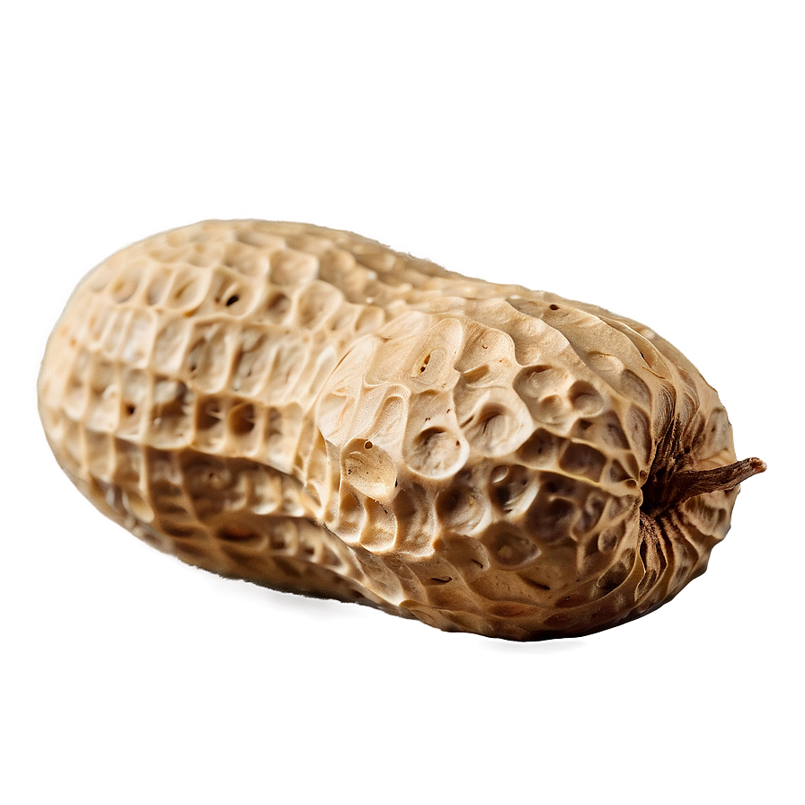 Peanut PNG 94 PNG with transparent background