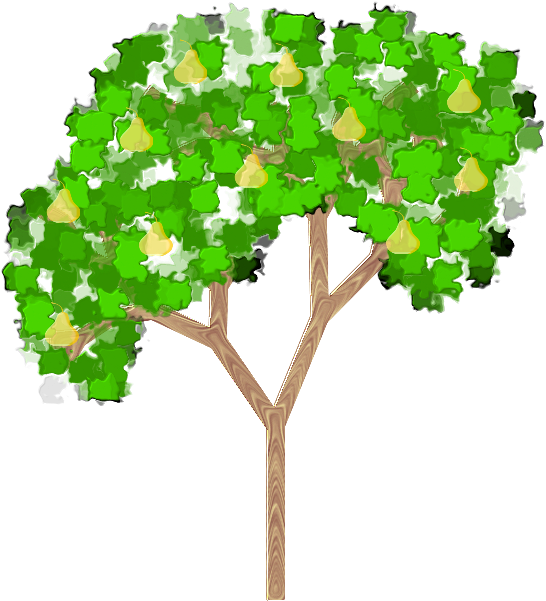 Pear Tree - Clipart Pear Tree Transparent Background, HD Png Download PNG with transparent background