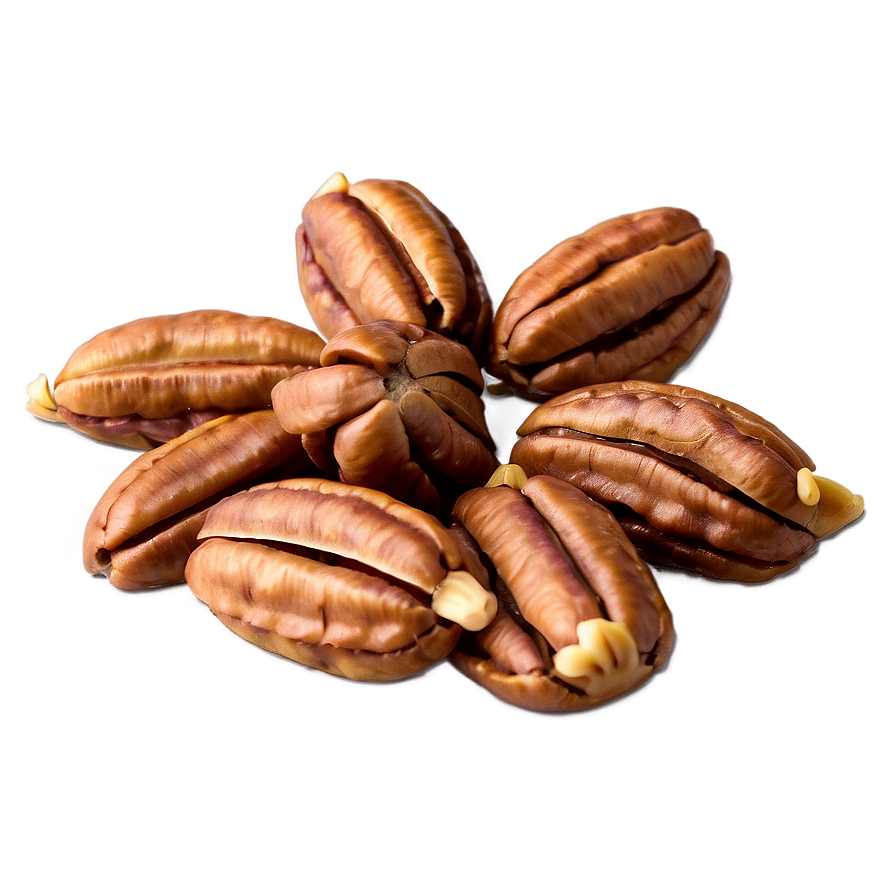 Pecan Cluster PNG 06272024 PNG with transparent background