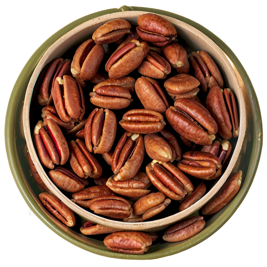 Pecan Snack PNG 06272024 PNG with transparent background