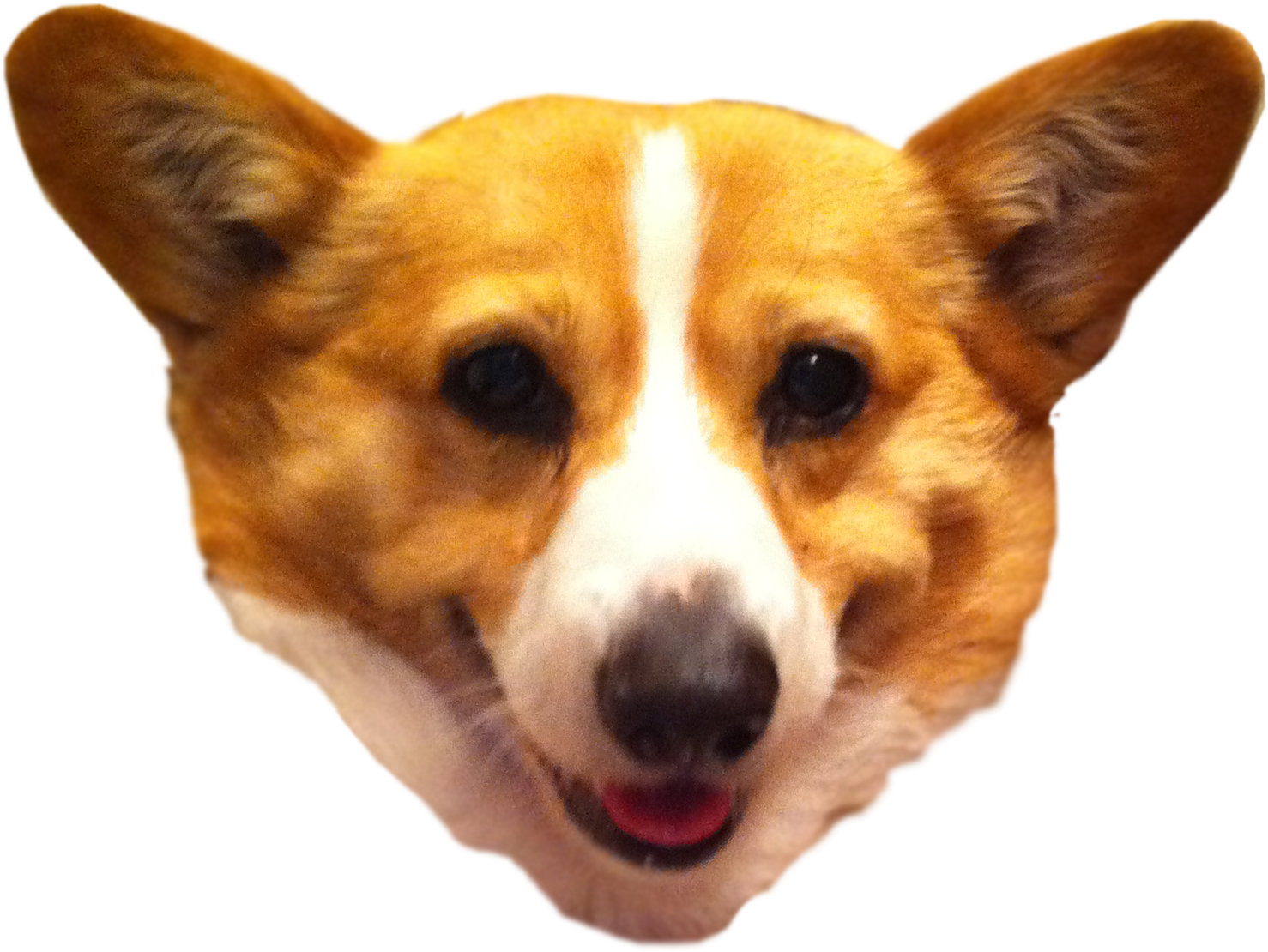 Pembroke Welsh Corgi Cardigan Welsh Corgi Dorgi Puppy, HD Png Download PNG with transparent background