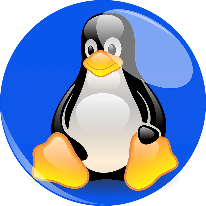 Penguin, Linux, Mascot, Blue, Cartoon Character, Figure - Pinguim Linux Mascote, HD Png Download PNG with transparent background
