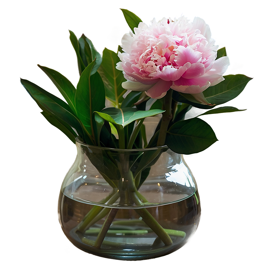 Peonies In Vase Png 06272024