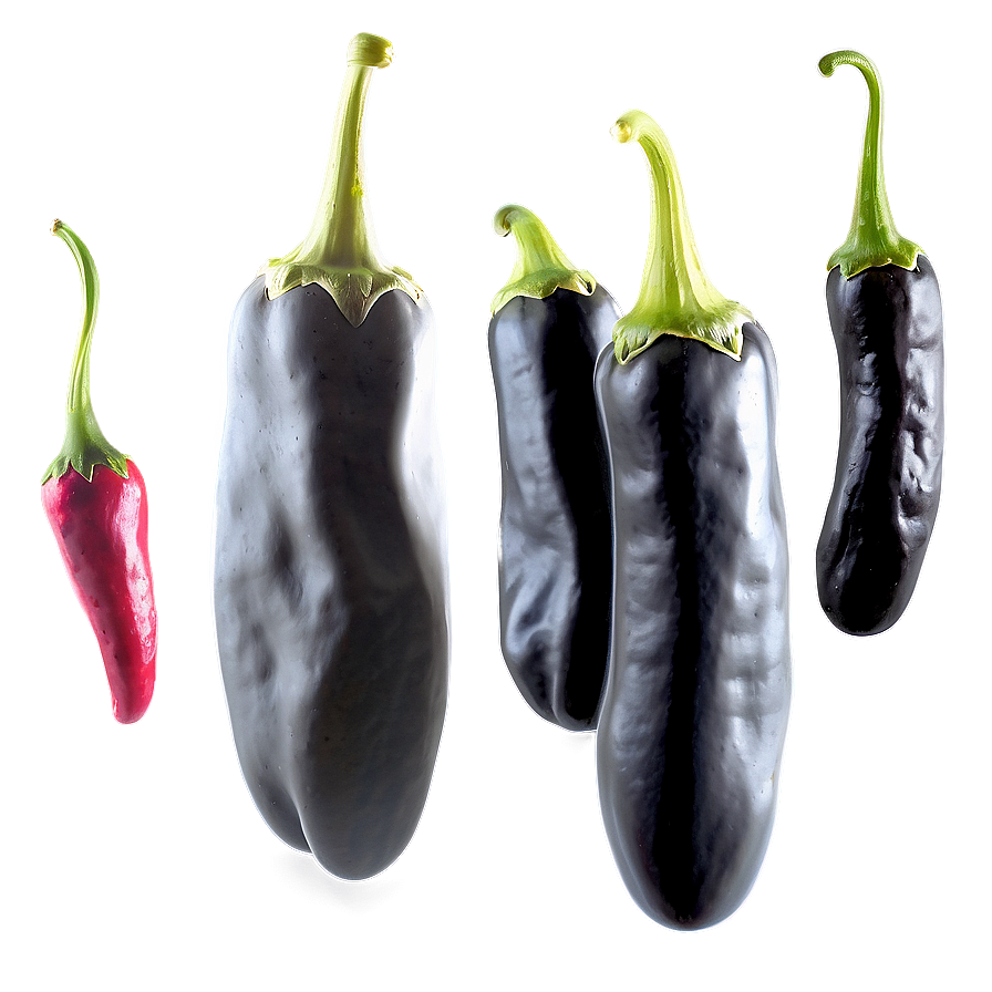 Pepper Drawing Png 05242024