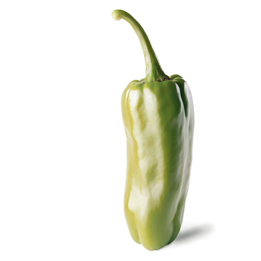 Pepper Sketch Png 05242024