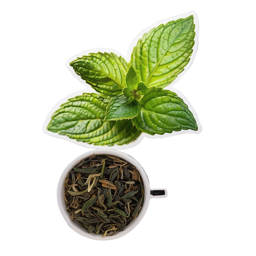 Peppermint Tea Leaf Png Tfm