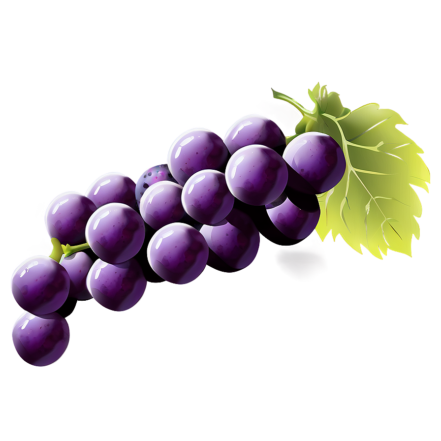 Perfect Grape Illustration Png 69