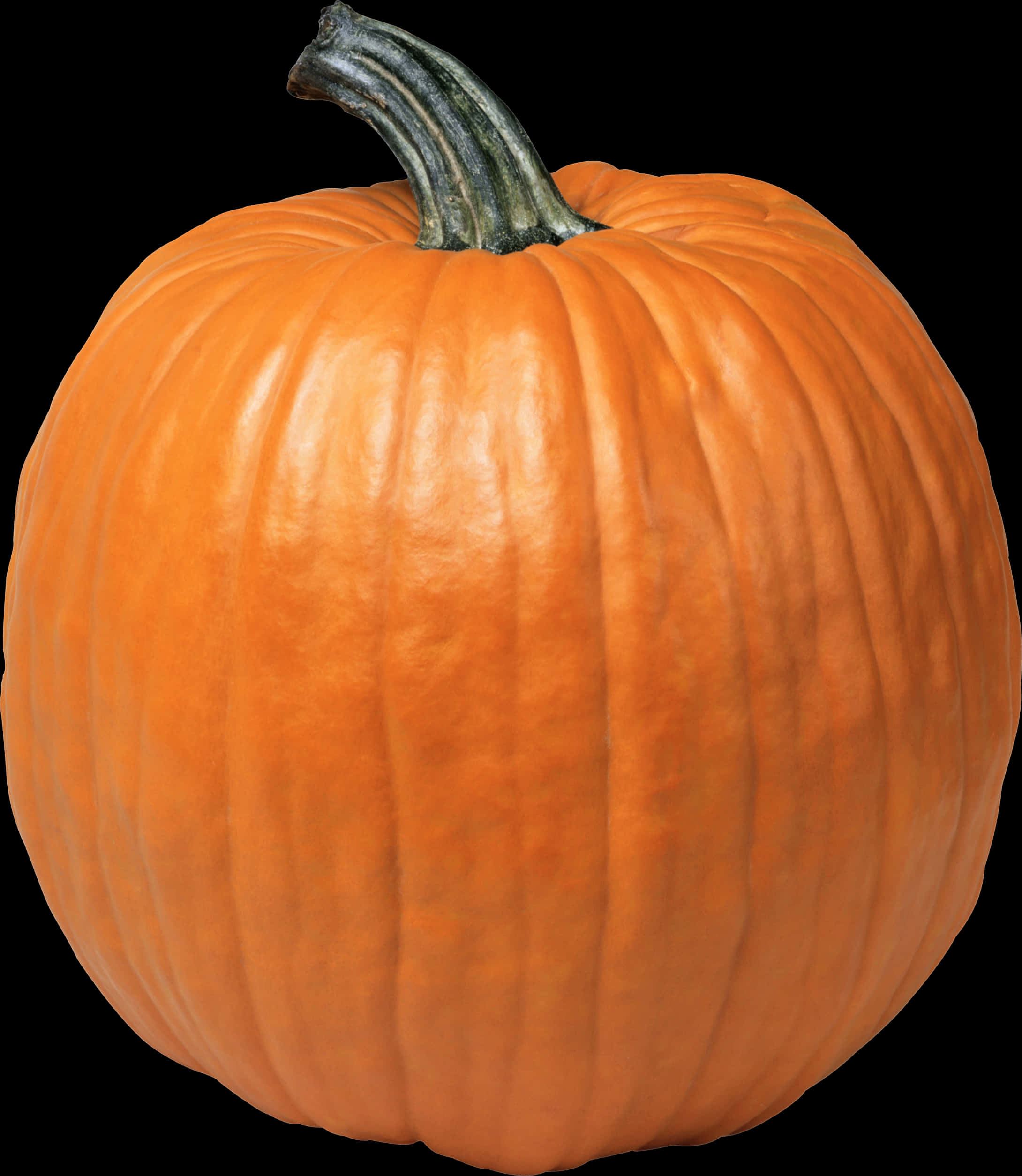 Perfect Orange Pumpkin Black Background