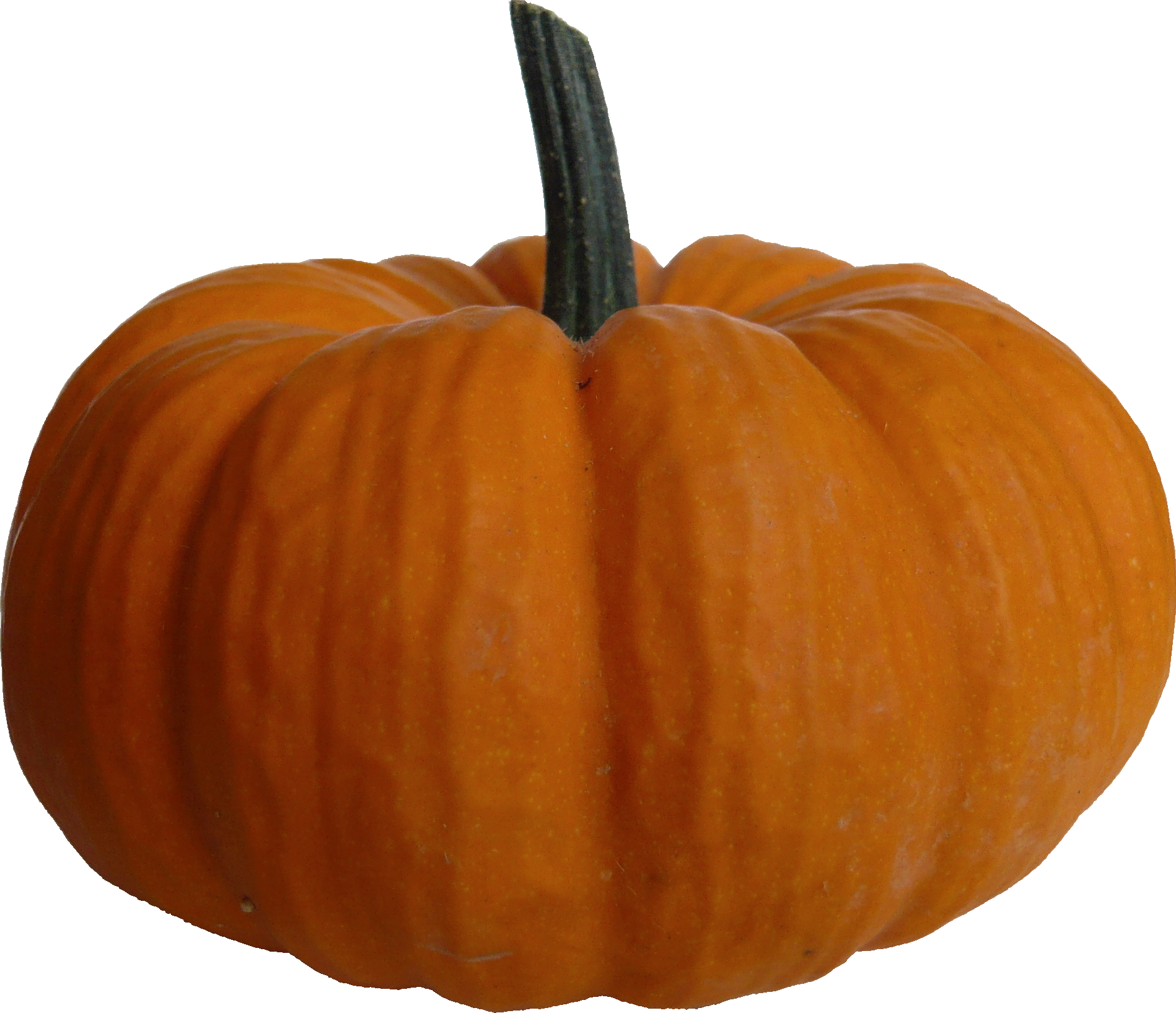 Perfect Orange Pumpkinon Blue Background.png