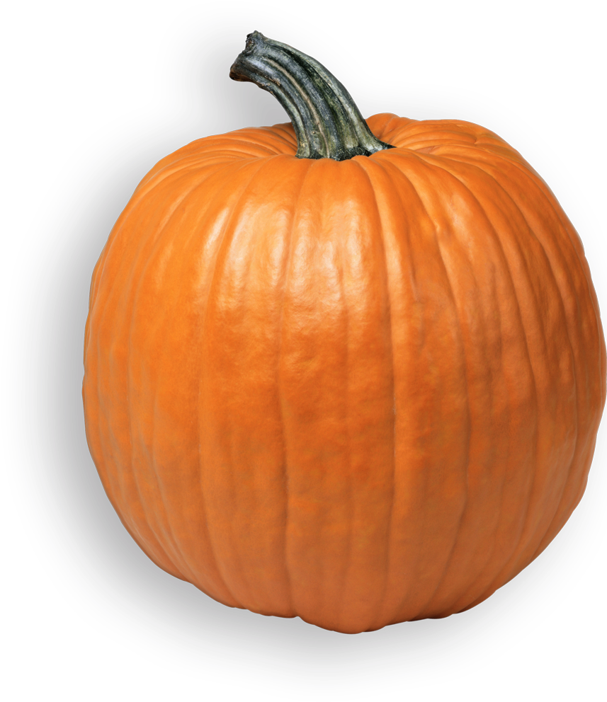 Transparent Pumpkin Farm Clipart - Pumpkin Png, Png Download PNG image with a transparent background, free high-resolution download