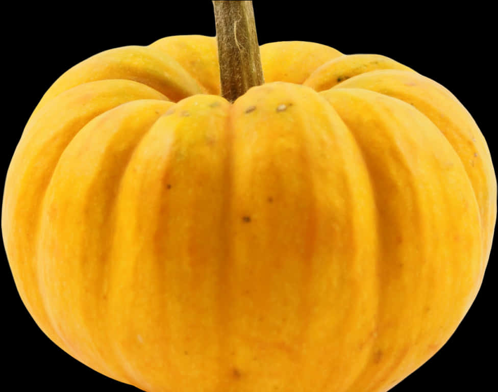 Perfect Pumpkin Black Background