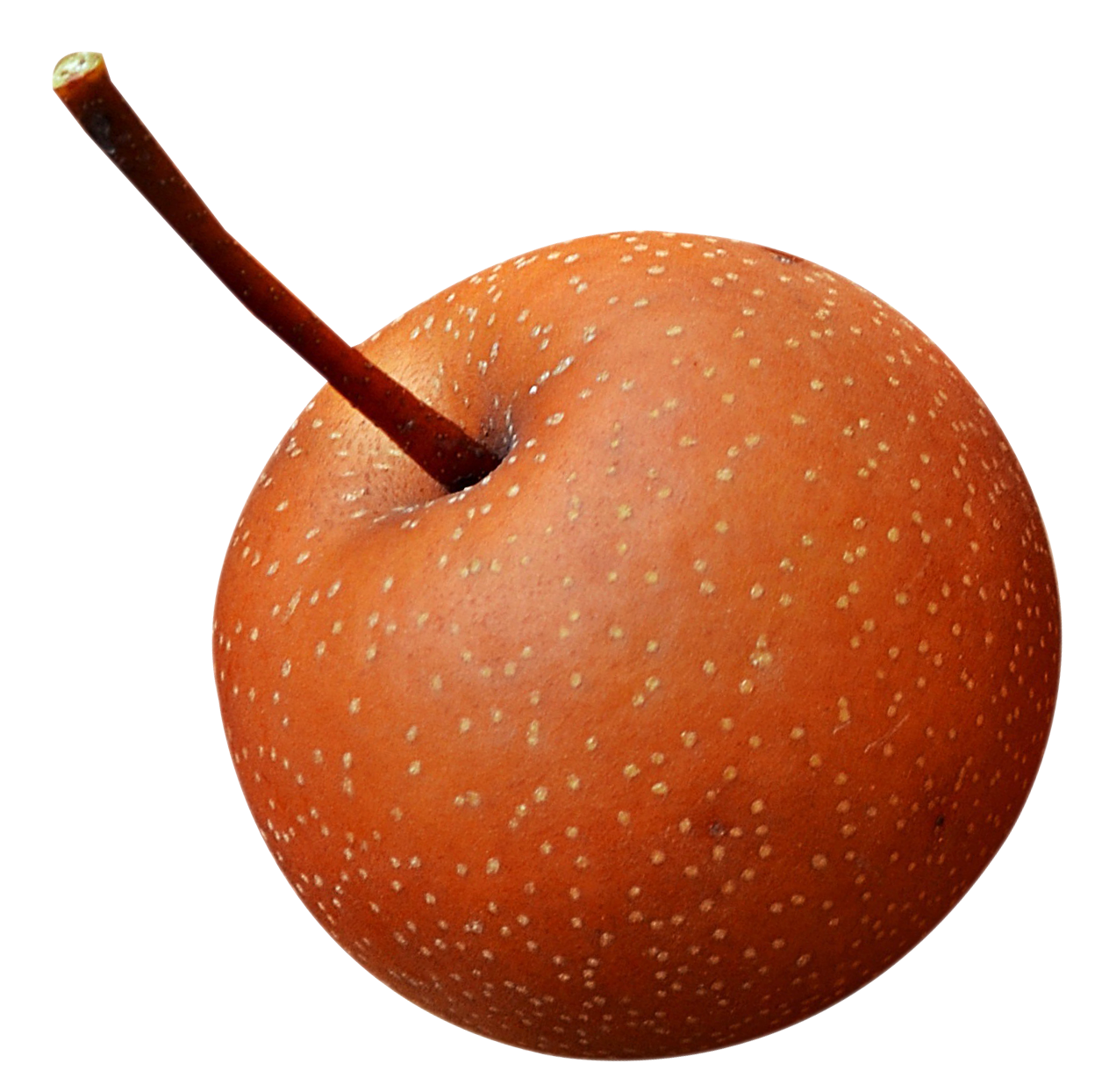 Perfect Red Apple PNG with transparent background