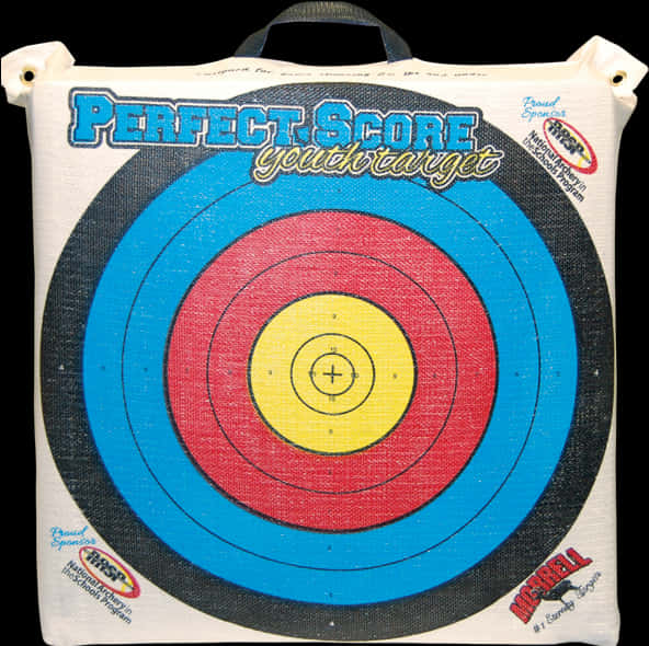 Perfect Score Archery Target PNG with transparent background