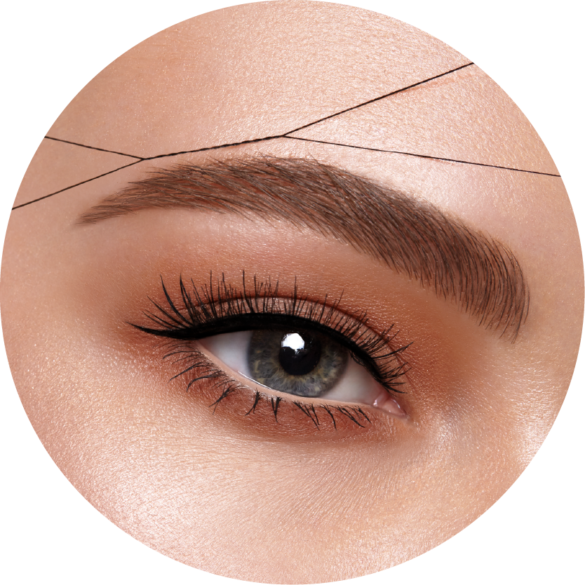 Perfectly Groomed Eyebrowand Eye Makeup PNG with transparent background