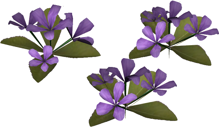 Periwinkle Flowers Transparent Background