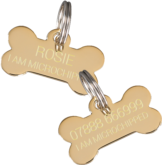 Personalized Dog Bone I D Tags