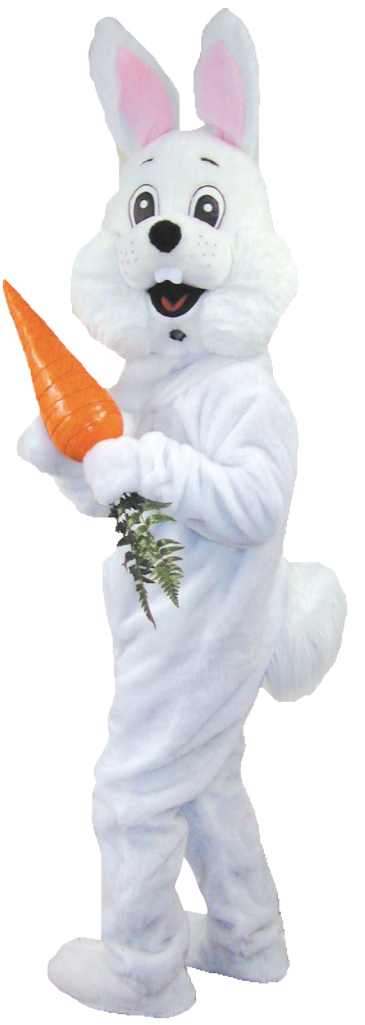 Personin Bunny Costume Holding Carrot