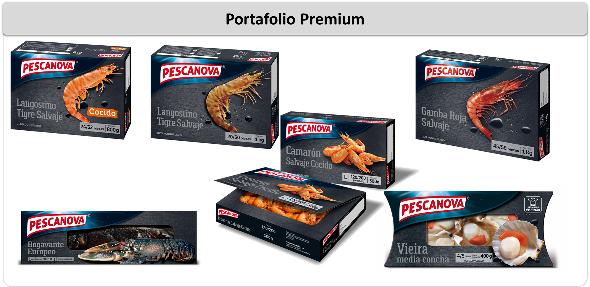 Transparent Marcos Navideños Png - Caridean Shrimp, Png Download PNG image with a transparent background, free high-resolution download
