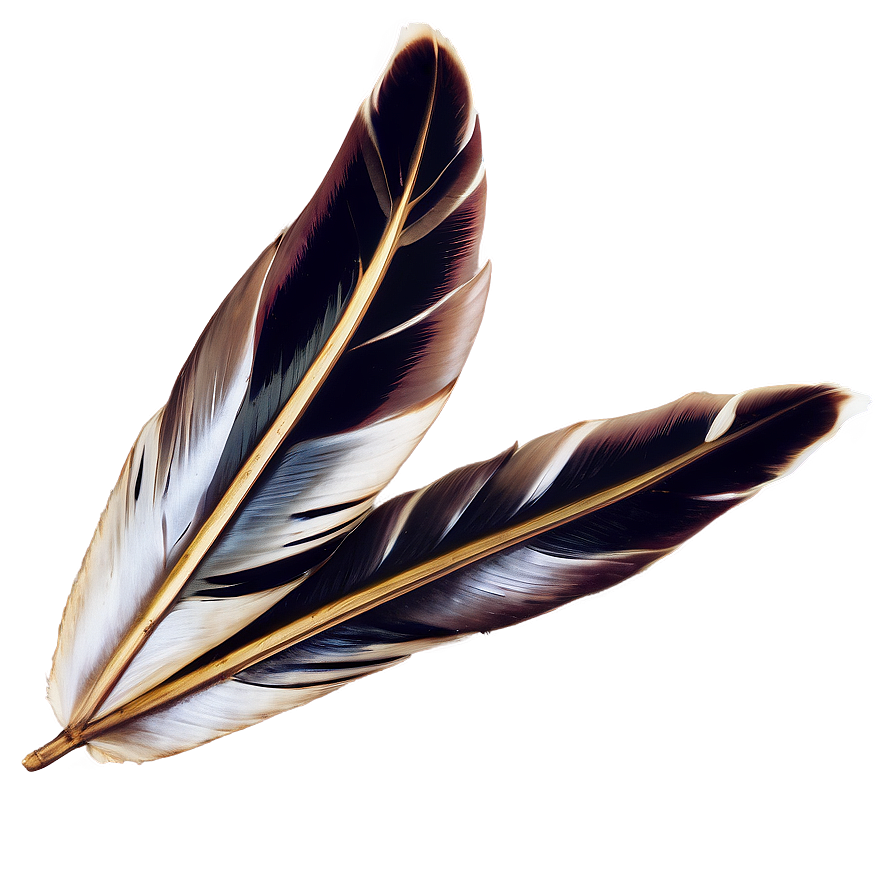 Peso Pluma Graphic Png 06132024