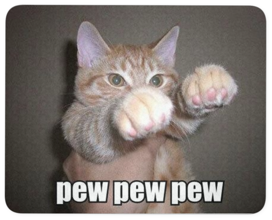 Pew Pew Cat Meme