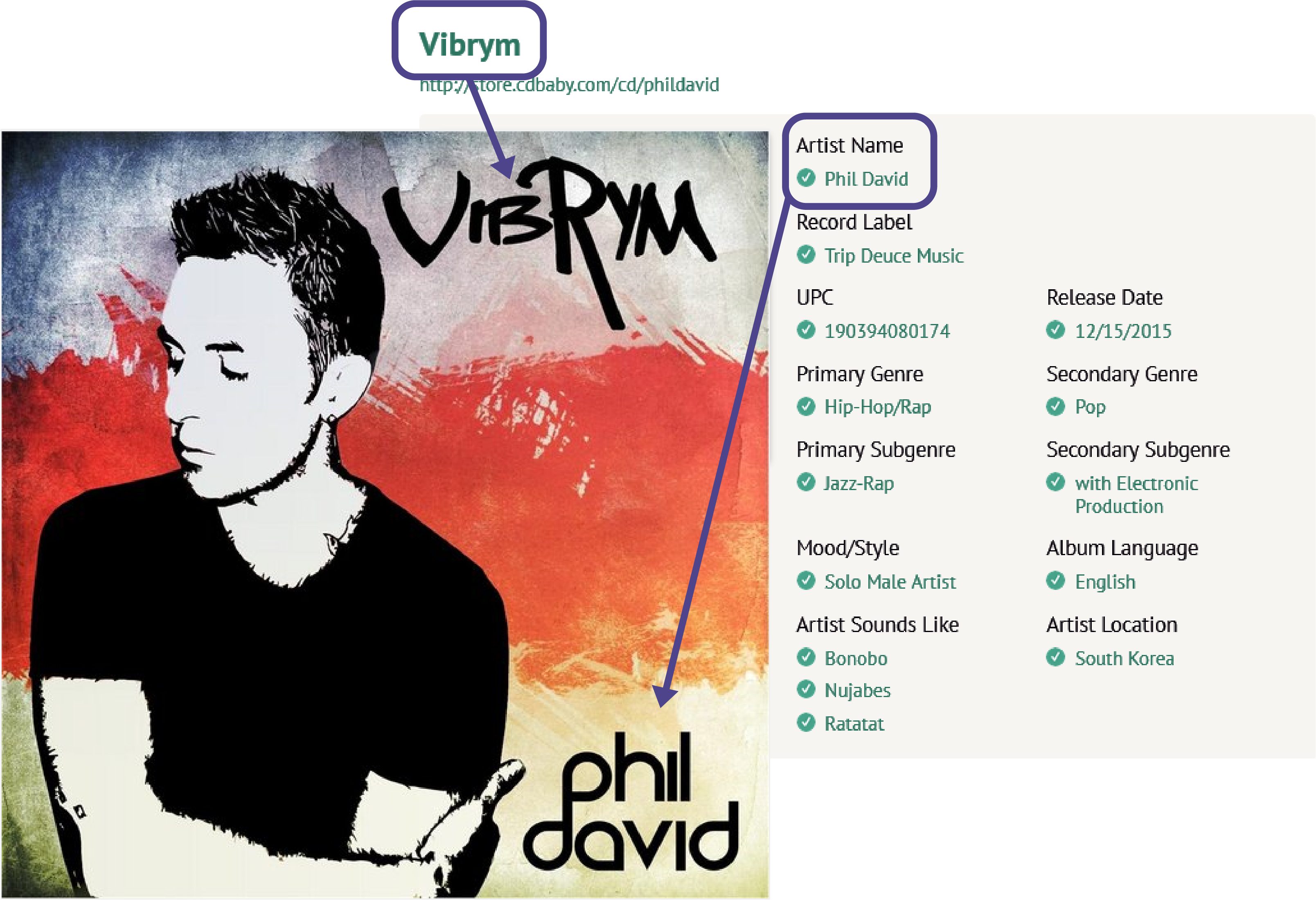 Phil David Vibrym Album Artwork PNG with transparent background