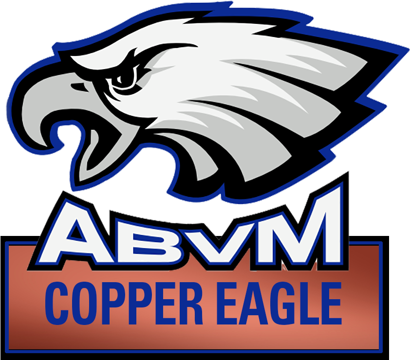 Philadelphia Eagles Clipart , Png Download - Philadelphia Eagles, Transparent Png PNG with transparent background