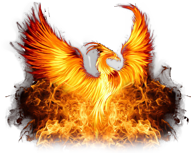 Phoenix Png, Transparent Png PNG with transparent background