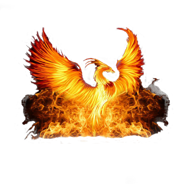 Phoenix Rising From The Fire, HD Png Download PNG with transparent background