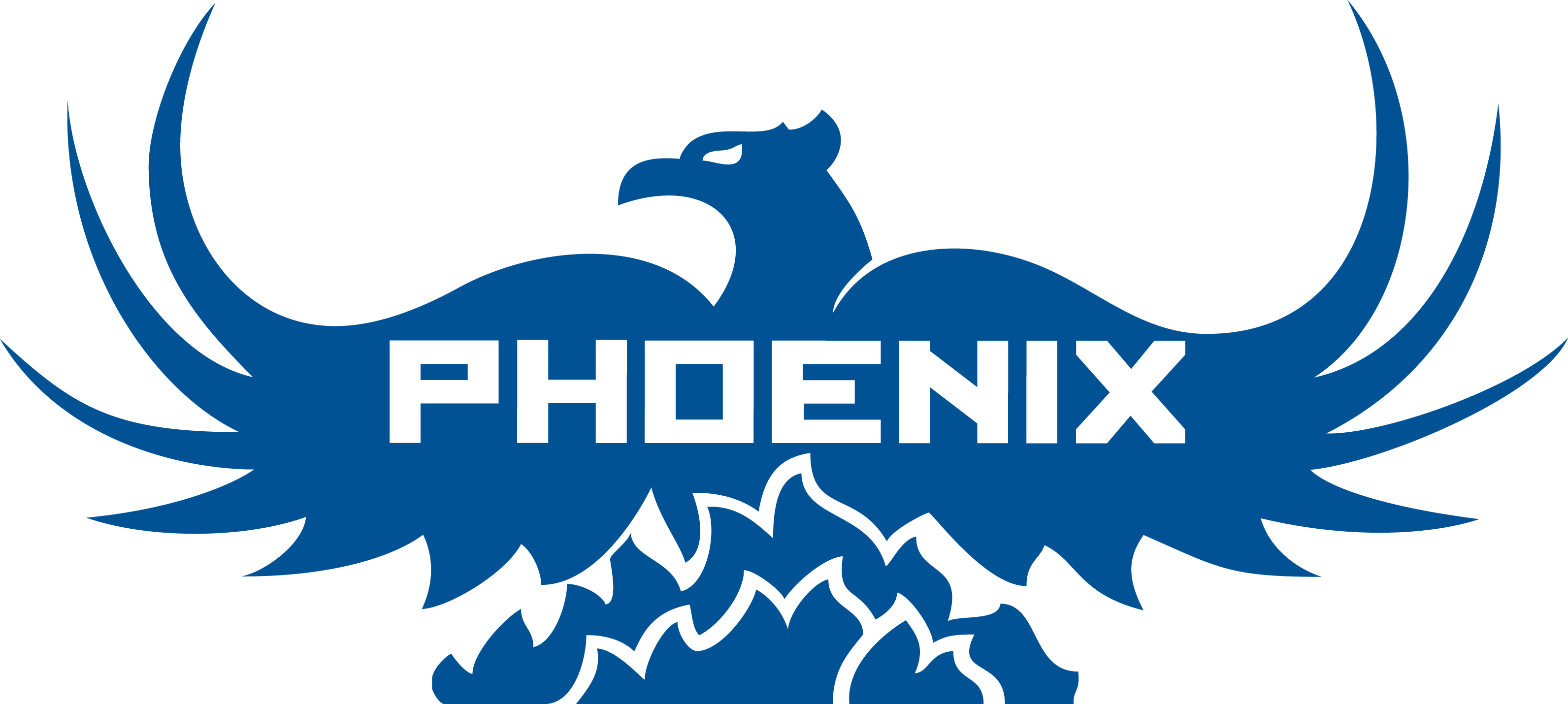 Phoenix Services Llc, HD Png Download PNG with transparent background