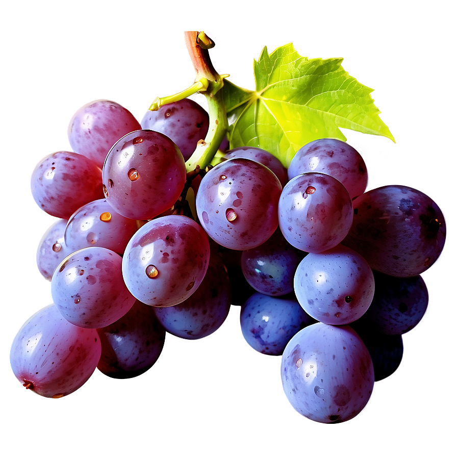 Photorealistic Grape Png Ncm