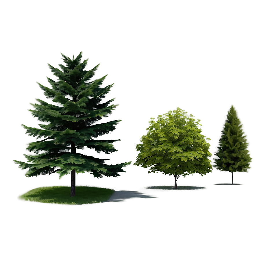 Photorealistic Tree Elevation Png Fll