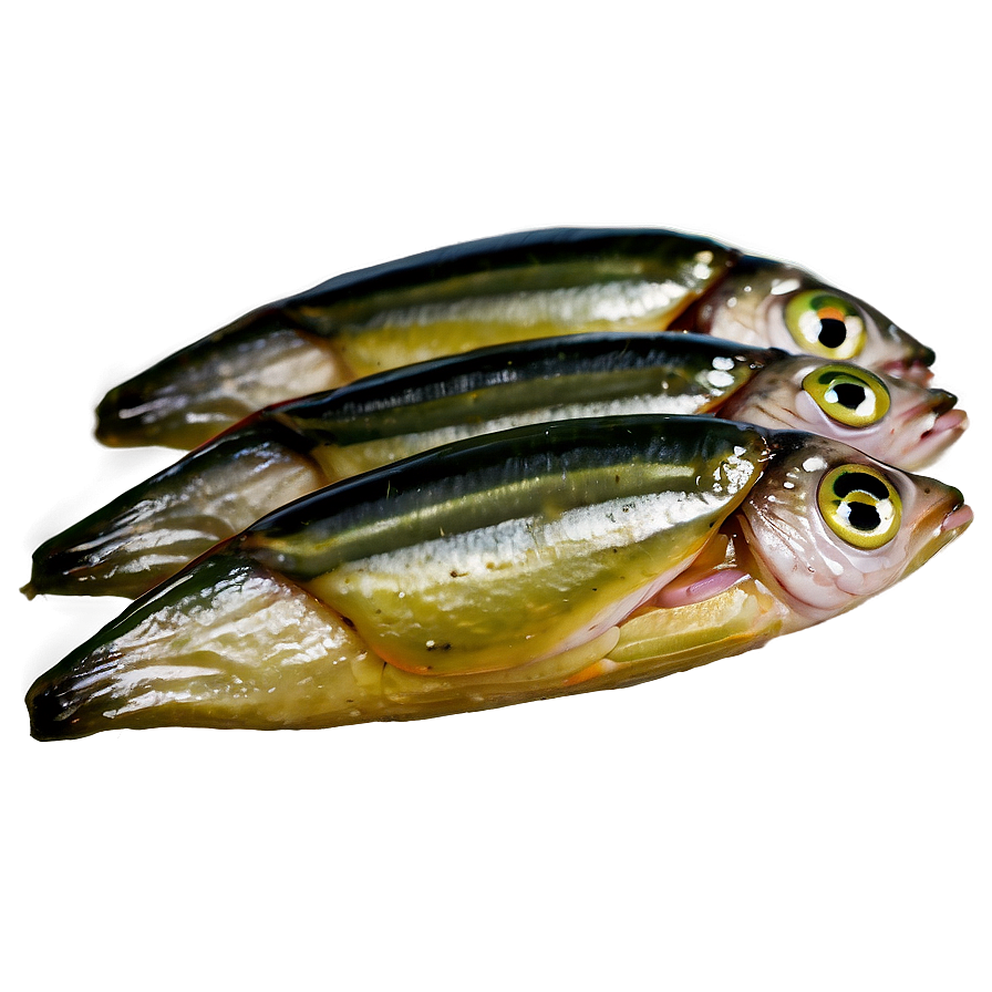 Pickled Sardines Png Bdo84