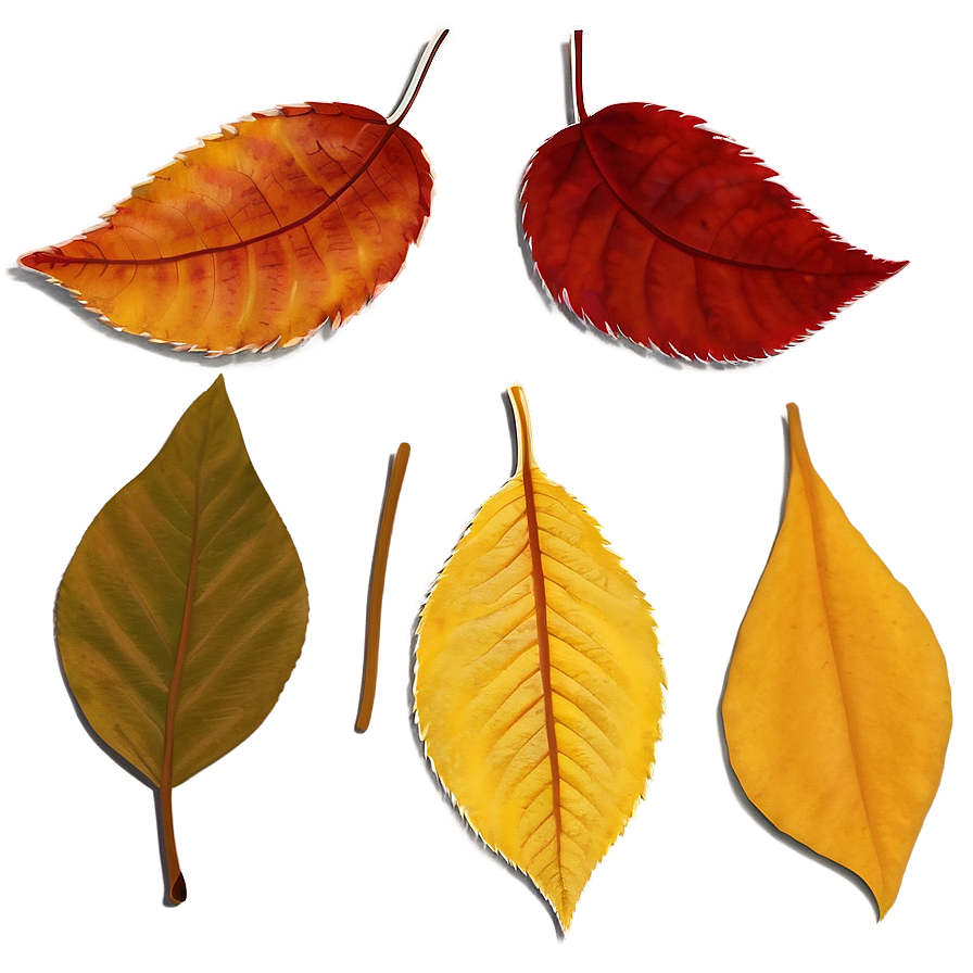 Picturesque Autumn Leaves Png 48