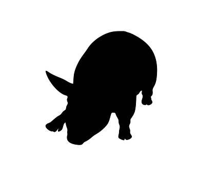 Pig Silhouette Graphic